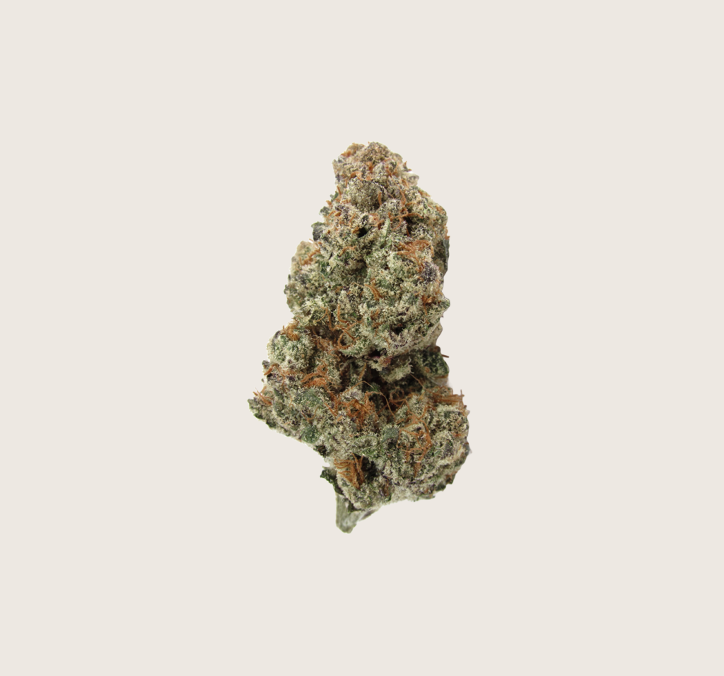 Rich Results on Google's SERP when searching for "thca flower"