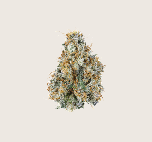 Rich Results on Google's SERP when searching for "thca flower"